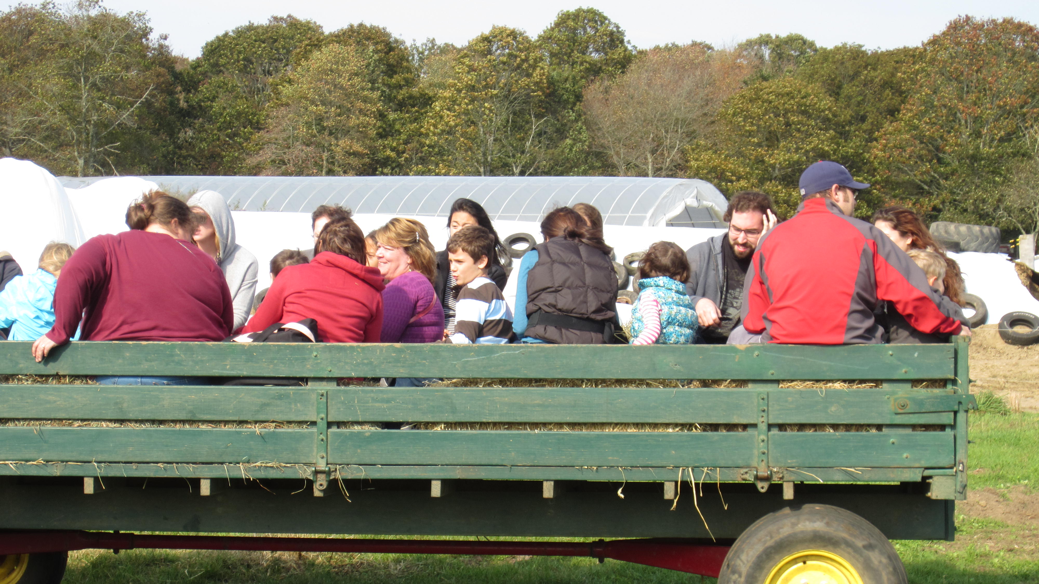 2012 Pumpkin Festival 035